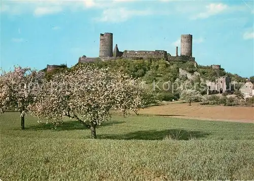 AK / Ansichtskarte Muenzenberg Baumbluete Burgruine Muenzenberg