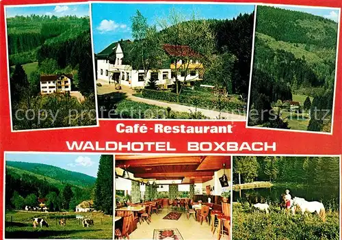 Boxbach Cafe Restaurant Waldhotel Weide Landschaftspanorama Boxbach