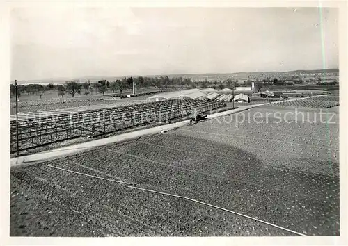 AK / Ansichtskarte Taegerwilen Gemuesebau AG Taegerwilen