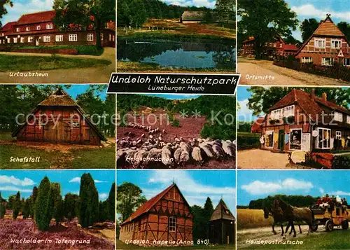 AK / Ansichtskarte Undeloh Urlaubsheim Schafstall Heidepostkutsche Heidschnucken  Undeloh