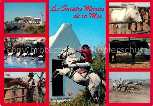AK / Ansichtskarte Saintes Maries de la Mer Camargue Pferde  Saintes Maries de la Mer