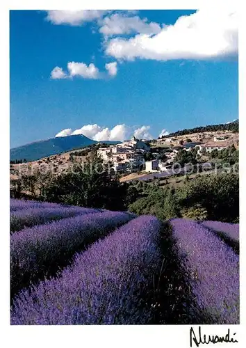AK / Ansichtskarte Aurel_Vaucluse Lavendel Aurel Vaucluse