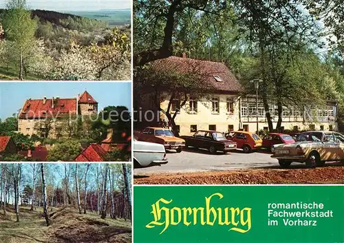 AK / Ansichtskarte Hornburg_Eisleben Ausflugslokal Willeckes Lust Panorama  Hornburg_Eisleben