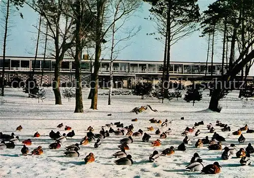 AK / Ansichtskarte Timmendorfer_Strand Winter an der See Meerwasserschwimmbad Wasservoegel Timmendorfer_Strand