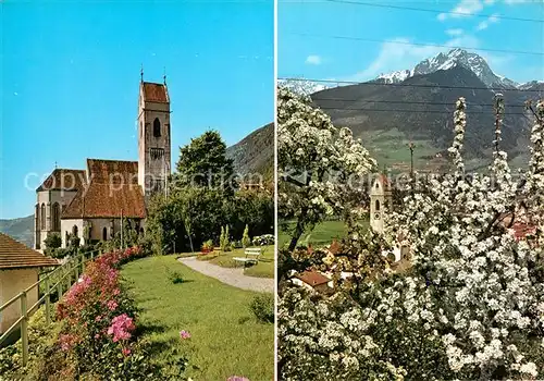 AK / Ansichtskarte Marling im Fruehling Baumbluete Kirche Alpen Marling