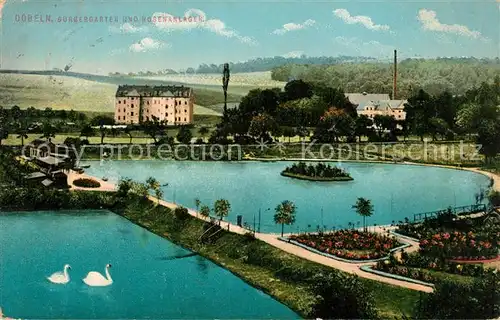 AK / Ansichtskarte Doebeln Burgergarten Rosenanlagen Doebeln