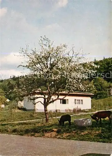 AK / Ansichtskarte Mauloff Ev Familienferiendorf Mauloff