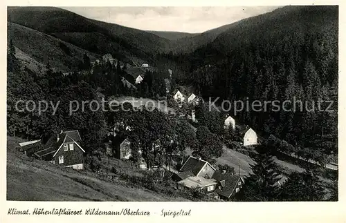 AK / Ansichtskarte Wildemann Landschaftspanorama Spiegeltal Wildemann