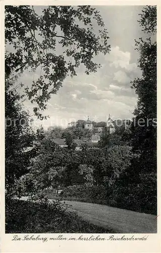 AK / Ansichtskarte Hofgeismar Sababurg im Reinhardswald Hofgeismar