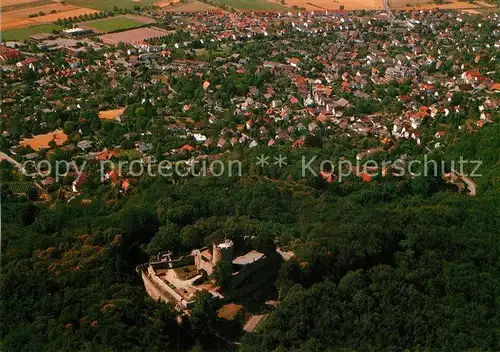 AK / Ansichtskarte Alsbach_Bergstrasse Luftkurort Schloss Burgruine Fliegeraufnahme Alsbach_Bergstrasse