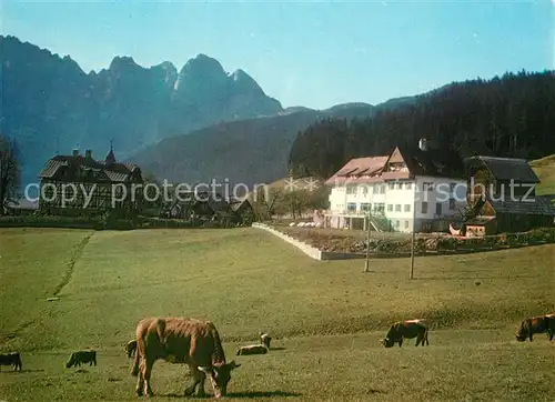 AK / Ansichtskarte Gosau_Oberoesterreich Haus der Begegnung mit Gosaukamm Kuehe Gosau_Oberoesterreich