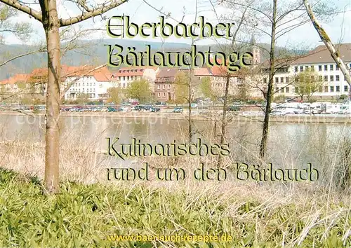 AK / Ansichtskarte Eberbach_Neckar Baerlauchtage  Eberbach Neckar