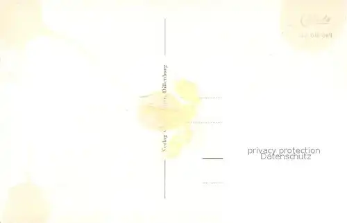 AK / Ansichtskarte Neuhaus_Rennweg Jagdhaus Neuhaus Neuhaus Rennweg