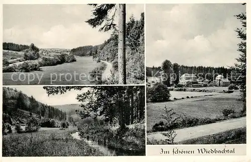 AK / Ansichtskarte Hachenburg_Westerwald Panorama Gasthaus Pension Braeuer Hachenburg_Westerwald