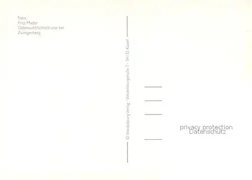 AK / Ansichtskarte Zwingenberg_Neckar Schlossruine im Odenwald Zwingenberg Neckar