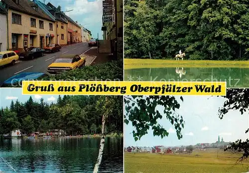 AK / Ansichtskarte Ploessberg_Oberpfalz Aktiv Markt Reiter Seepartie Panorama Ploessberg Oberpfalz