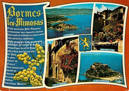 AK / Ansichtskarte Bormes les Mimosas Le Cap Benat Vieux puits Fleuri Coin Pittoresque Le Fort de Brecancon Bormes les Mimosas