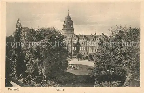 AK / Ansichtskarte Detmold Schloss Detmold