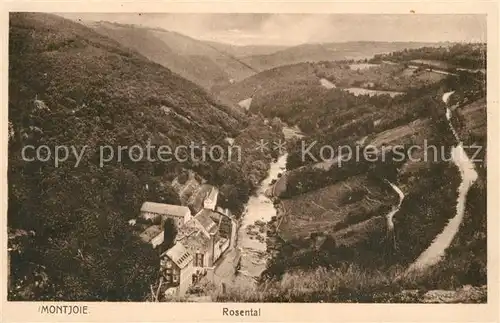 AK / Ansichtskarte Montjoie_Monschau Rosental Montjoie Monschau