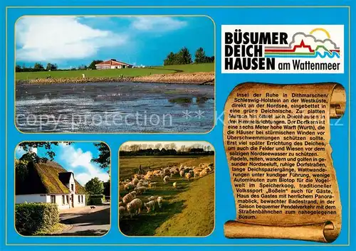 AK / Ansichtskarte Deichhausen_Buesum Wattenmeer Reetdachhaus Schafe Deichhausen Buesum