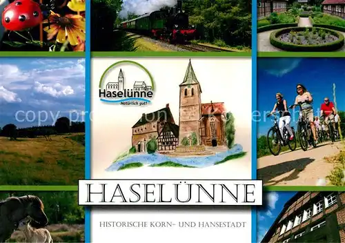 AK / Ansichtskarte Haseluenne Historische Korn und Hansestadt Landschaftspanorama Pferde Dampflokomotive Radfahren Kirche Fachwerkhaus Haseluenne