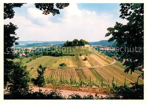 AK / Ansichtskarte Weinsberg Landschaftspanorama Burg Weibertreu mit Blick Loewensteiner Berge Weinsberg