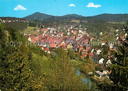 AK / Ansichtskarte Velden_Mittelfranken Panorama Velden Mittelfranken