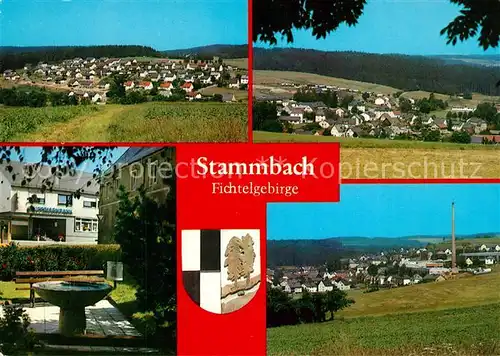 AK / Ansichtskarte Stammbach Panorama Erholungsort im Fichtelgebirge Brunnen Wappen Stammbach