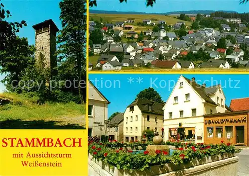 AK / Ansichtskarte Stammbach Aussichtsturm Weissenstein Brunnen Teilansicht Erholungsort Stammbach
