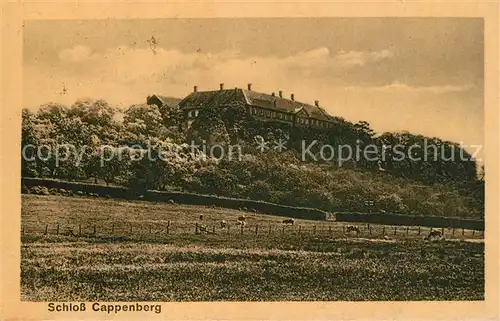 AK / Ansichtskarte Luenen Schloss Cappenberg Luenen