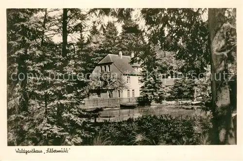 AK / Ansichtskarte Leopoldstal_Lippe Waldgasthaus Silbermuehle Leopoldstal_Lippe