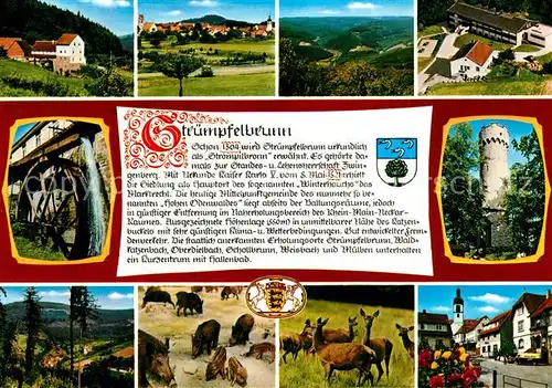 AK / Ansichtskarte Struempfelbrunn  Struempfelbrunn