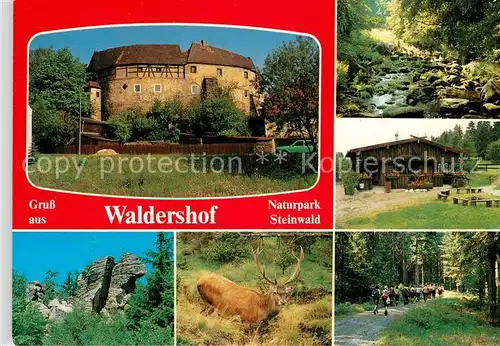 AK / Ansichtskarte Waldershof Ganerbenburg Landschaftspanorama Felsen Waldpartie Wandern Hirsch Waldershof