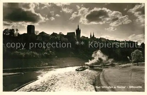 AK / Ansichtskarte Bad_Wimpfen Neckarpartie  Bad_Wimpfen