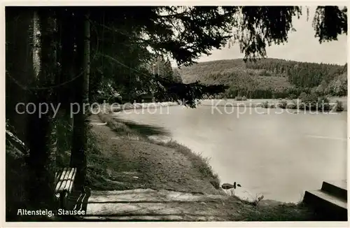 AK / Ansichtskarte Altensteig_Schwarzwald Stausee Altensteig_Schwarzwald