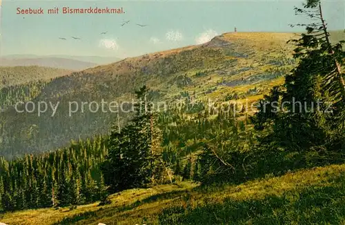 AK / Ansichtskarte Feldberg_Schwarzwald Seebuck mit Bismarckdenkmal Feldberg Schwarzwald
