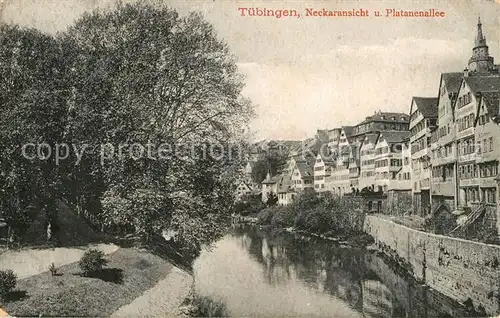AK / Ansichtskarte Tuebingen Neckarpartie mit Platanenallee Tuebingen