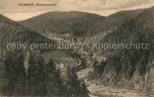 AK / Ansichtskarte Triberg_Schwarzwald Panorama Triberg Schwarzwald