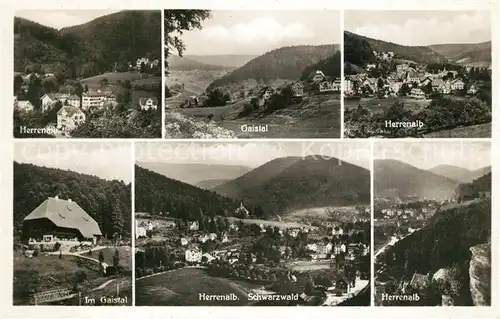 AK / Ansichtskarte Herrenalb_Schwarzwald Panorama Gaistalpartien 