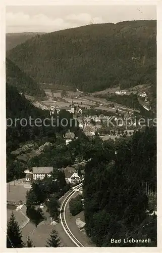 AK / Ansichtskarte Bad_Liebenzell Panorama Bad_Liebenzell