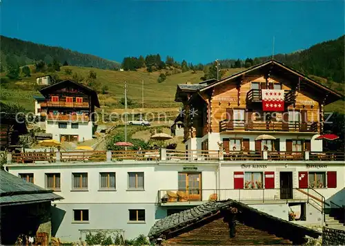AK / Ansichtskarte Albinen_VS Berghotel Albinen Stepahn Metry Albinen_VS