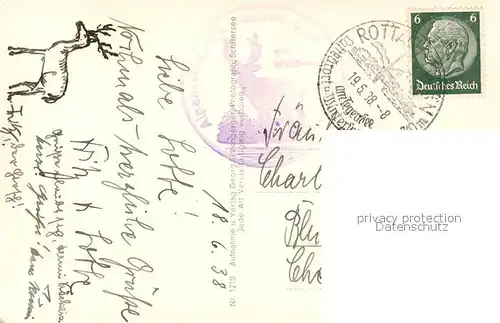 AK / Ansichtskarte Rottach Egern Alpenwildpark mit Hirschberg Rottach Egern