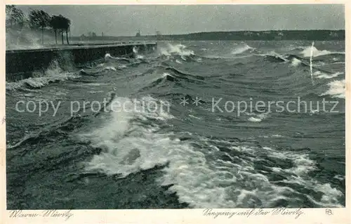 AK / Ansichtskarte Waren_Mueritz Seegang auf der Mueritz Waren Mueritz