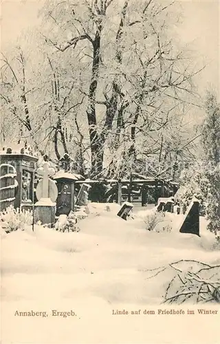 AK / Ansichtskarte Annaberg Buchholz_Erzgebirge Linde auf dem Friedhof im Winter Annaberg Buchholz