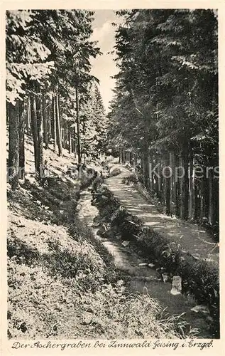 AK / Ansichtskarte Geising_Erzgebirge Der Aschergraben bei Zinnwald Geising Erzgebirge