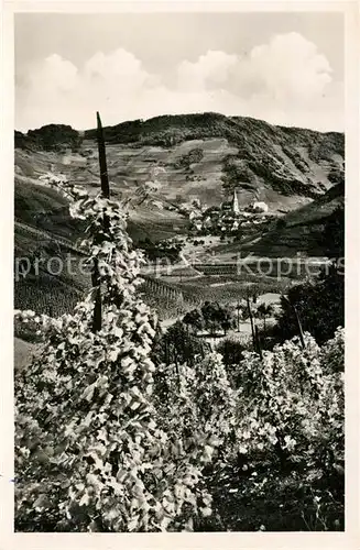 AK / Ansichtskarte Ahrtal Blick vom Weinberg auf Mayschoss Ahrtal