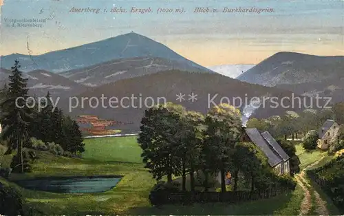 AK / Ansichtskarte Auersberg_Wildenthal Blick vom Burkhardtsgruen Auersberg Wildenthal