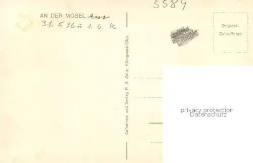 AK / Ansichtskarte Alf_Bullay_Mosel Blick ins Moseltal Alf_Bullay_Mosel