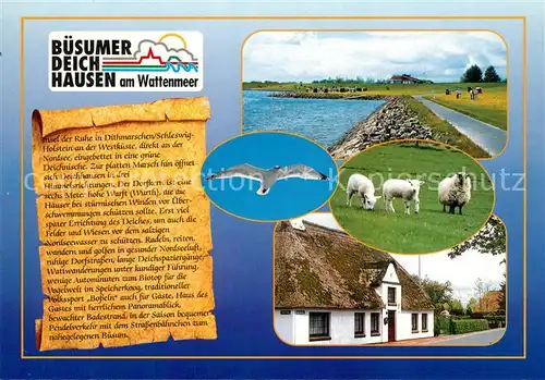 AK / Ansichtskarte Deichhausen_Buesum Deich Uferpromenade Moewe Schafe Reetdachhaus Deichhausen Buesum