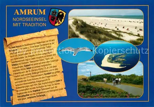 AK / Ansichtskarte Amrum Strand Duenen Moewe Fahrradtour Fliegeraufnahme Chronik Amrum